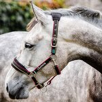 Horse Halter Manufacturer - OEM Durable Nylon Comfortable Fit Headstall Bridle Guard