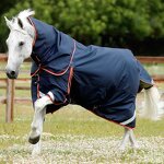 Horse Blanket Manufacturer - OEM Black Heavyweight Fill Cotton Insulated for Cold Weather