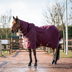Horse Blanket Manufacturer - OEM Black Heavyweight Fill Cotton Insulated for Cold Weather