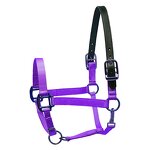 Racing Horse Halter Manufacturer - OEM Durable Nylon Comfortable Fit Headstall Bridle