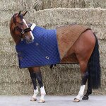 horse rug