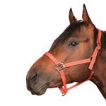 Horse Halter Manufacturer - OEM Durable Premium Materials Comfortable Fit Headstall