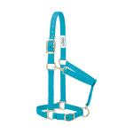 Racing Horse Halter Manufacturer - OEM Durable Nylon Comfortable Fit for Equine Activities