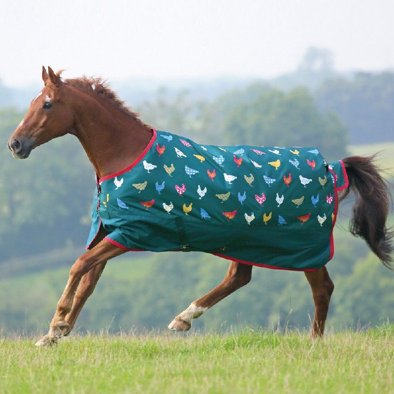 Horse Blanket Manufacturer - OEM High Quality Waterproof Oxford Fabric Durable Cover Rug