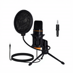 USB Microphone Factory - Condenser RGB Light Recording Microphone Custom