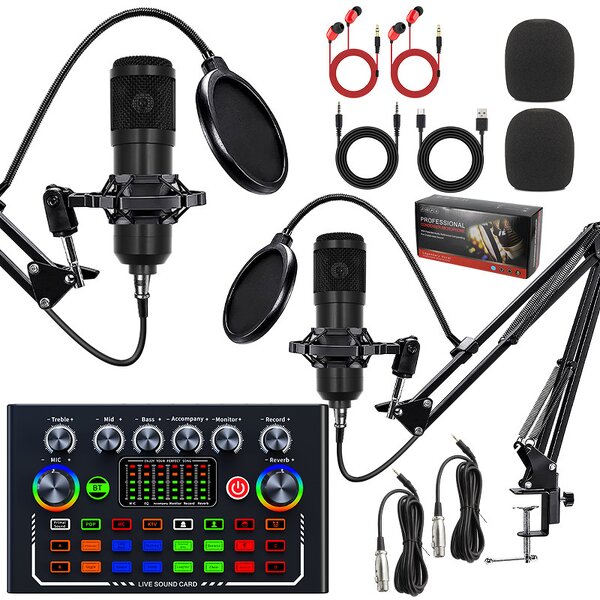 Microphone Kit Manufacturer - Livestream Studio Dual Microphone Kit OEM