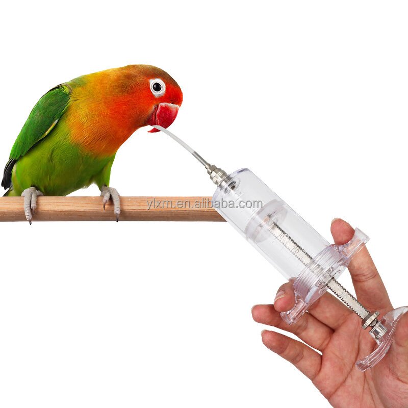Bird Feeding Syringe Manufacturer - OEM Hot Sell 10ml 20ml 30ml 50ml Manual Rearing