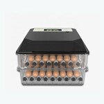 Egg Incubator Manufacturer - OEM Mini Dual Power 64 Eggs for Poultry Brooder