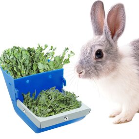 Rabbit Feeder Box Manufacturer - OEM Rabbit Farm Tool 10cm Plastic Hopper Trough