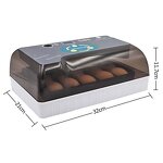 Egg Incubator Manufacturer - OEM Automatic Digital 12 Eggs for Chicken Duck Quail