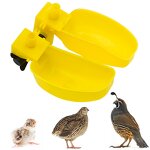 Bird Drinking Bowl Manufacturer - Wholesale Price Durable Water Saving for Quail Pigeon