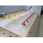 Poultry Slat Floor Manufacturer - OEM High Strength Plastic Broiler Farm Net Flooring