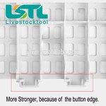 Plastic Slat Flooring Manufacturer - Wholesale High Strength Broiler Leakage Dung Plate