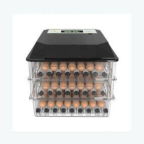 Egg Incubator Manufacturer - OEM Mini Dual Power 64 Eggs for Poultry Brooder