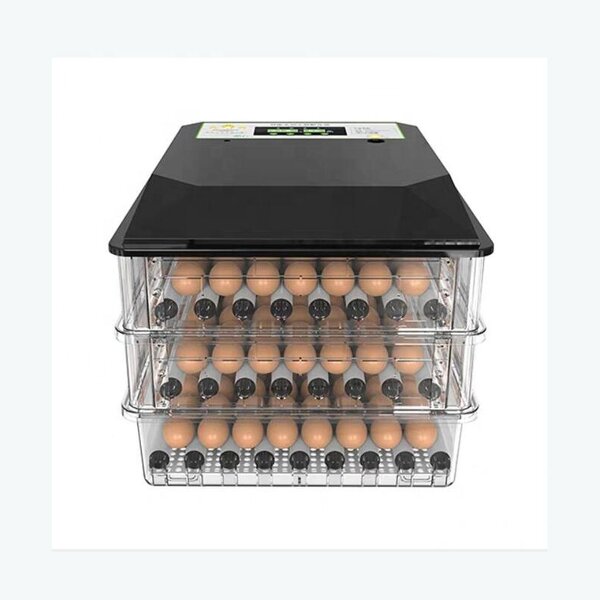 Egg Incubator Manufacturer - OEM Mini Dual Power 64 Eggs for Poultry Brooder