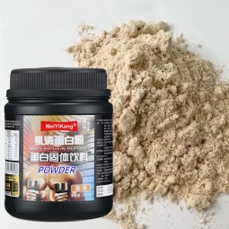 Whey Protein Concentrate Manufacturer - OEM Gold Standard 450g Bulk Supply