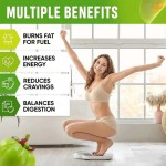 Detox Tea Bags Manufacturer - OEM/ODM 28-Day Natural Metabolism Booster