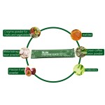 Slimming Powder Manufacturer - OEM Enzyme Juice Weight Loss Supplement