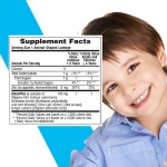 Immune Lozenges Manufacturer - OEM Kids Animal Shape Overall Wellness