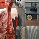 Chain Mail Glove Factory - Stainless Steel Cut Resistant Work Gloves