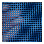 Dryer Screen Mesh Manufacturer - Polyester Plain Weave Woven Net