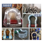 Bow Shackle Manufacturer - OEM 3mm Diameter Soft 10 Ton Shackle
