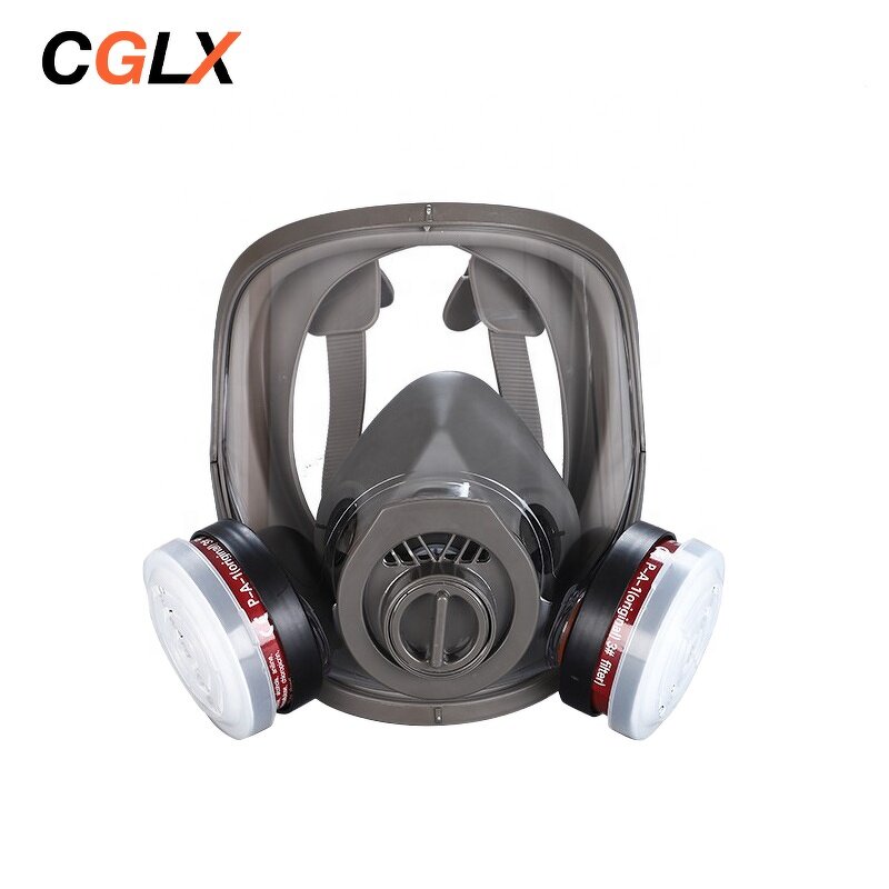 PAPR Mask Manufacturer - OEM Electric Blower Full Face Powered Air Purifying Respirator