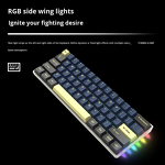 Wireless Keyboard Manufacturer - OEM 61Pro RGB Three-Mode Hot-Swappable
