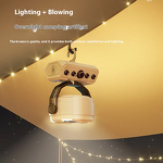 Rechargeable Fan Manufacturer - OEM High-Speed Oscillating Outdoor for Camping