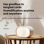 USB Humidifier Manufacturer - OEM Portable Mini Wireless Double Spray Desktop