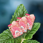 软糖源头工厂-硬质口感水果口味涂层果冻代工