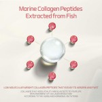 Fruit Jelly Candy Factory - OEM Custom Vitamin Collagen Jelly Stick