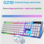 Gaming Keyboard Mouse Combo Factory - Hot Sales G21B LED Wired