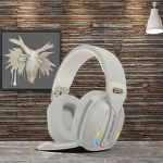 Wireless Gaming Headphone Manufacturer - OEM 2.4G Low Latency Over-Ear Dynamic Driver