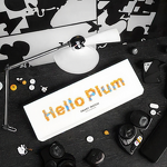 Smart Watch Manufacturer - OEM Hello Plum 1Gb Local Music IP67 Waterproof AI Voice