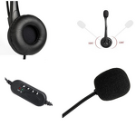 Noise Cancelling Headset Manufacturer - OEM Hot Sale Dual USB for Computer Office