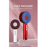 Electric Hairbrush Manufacturer - OEM 2-in-1 with Oil Dispenser Scalp Massager Micro Current