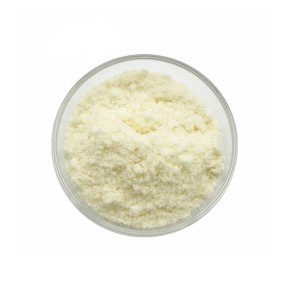 咖啡糖源头工厂-薄荷阿拉比卡豆85%木糖醇0蔗糖