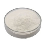 Whey Protein Supplier - Custom Logo Sports Nutrition Bulk