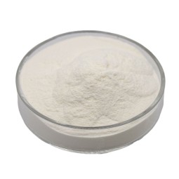 Whey Protein Supplier - Custom Logo Sports Nutrition Bulk