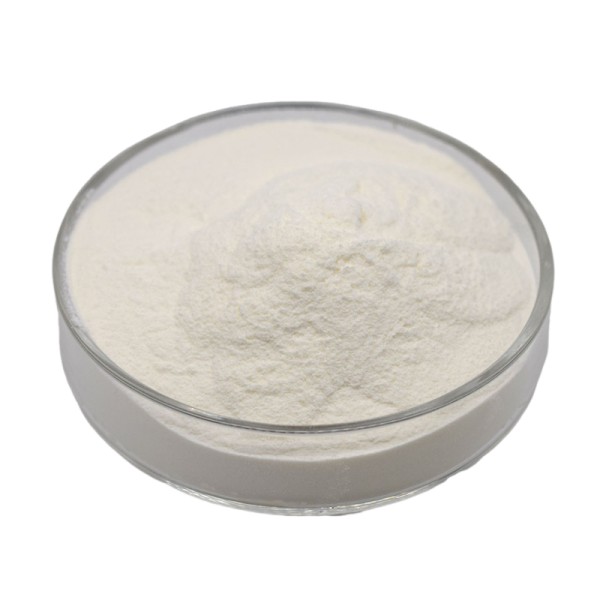 Whey Protein Supplier - Custom Logo Sports Nutrition Bulk