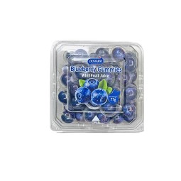Blueberry Gummies Factory - Vitamin Chewing Gummy Candy OEM
