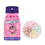 Mint Lozenge Supplier - Sugar Free Vitamin Candy Bulk