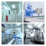 Inflatable Candy Manufacturer - Crispy Hawthorn Ball Soft OEM