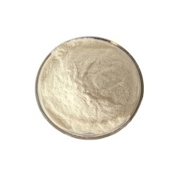 Protein Powder Supplier - Muscul Bodybuilding Soy Protein Isolate