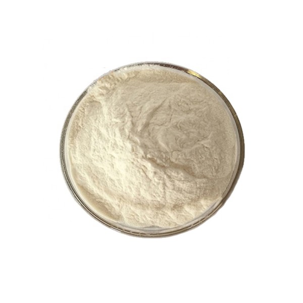 Protein Powder Supplier - Muscul Bodybuilding Soy Protein Isolate