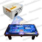 Interactive Pool Table Manufacturer - OEM Indoor Air Hockey Projection Hologram Game