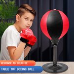 Abdominal Wheel Roller Manufacturer - Bulk Core Abdominal Trainer