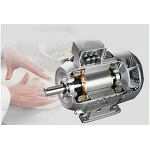 Meat Ball Maker Factory - Professional Commercial Full Automatic Stainless Steel Beef