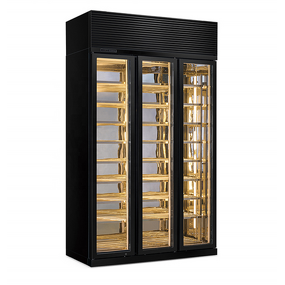 Wine Display Cabinet Manufacturer - Constant Temperature Adjustable Customization Storage